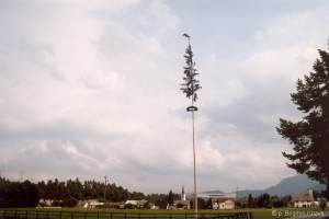 Nova maša, Mošnje 2000